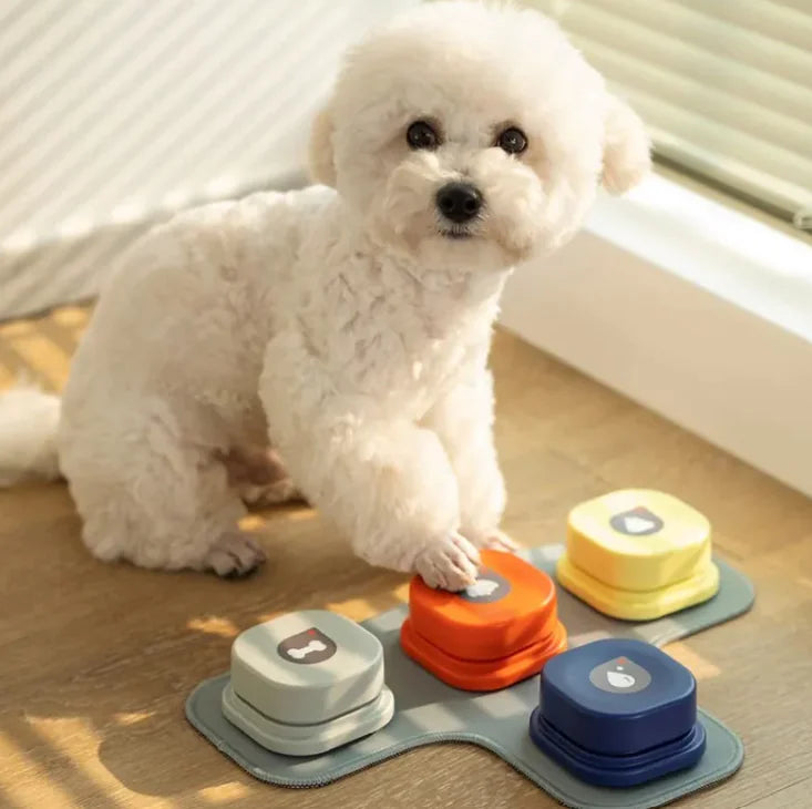 Pet Communication Toy