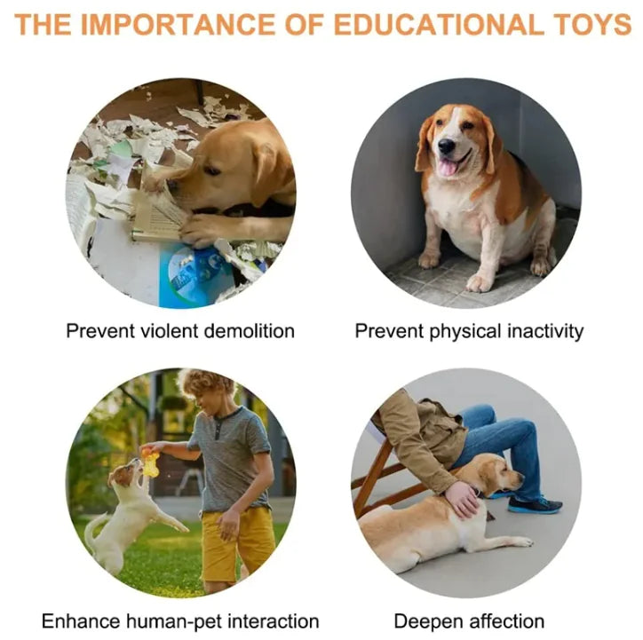 Pet Communication Toy