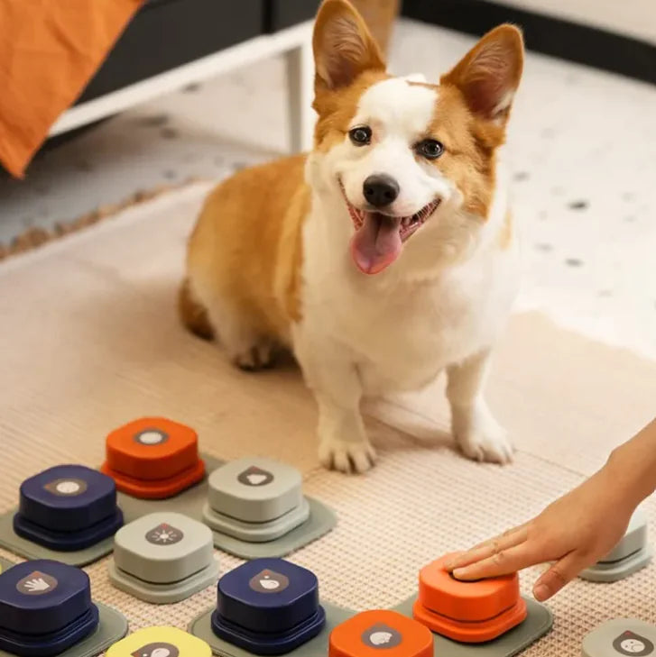 Pet Communication Toy